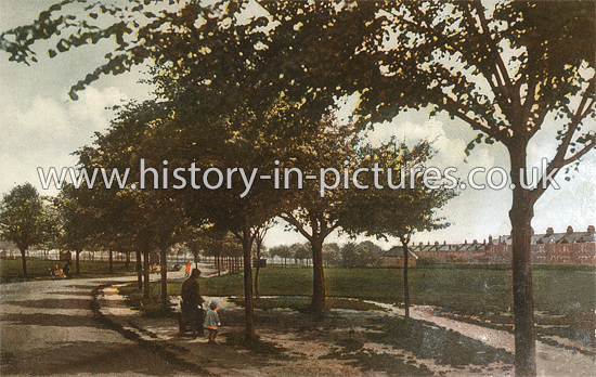 The Park, Goodmayes, Essex. c.1930's
